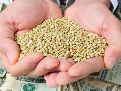 Top Seed Stores & Companies in the USA